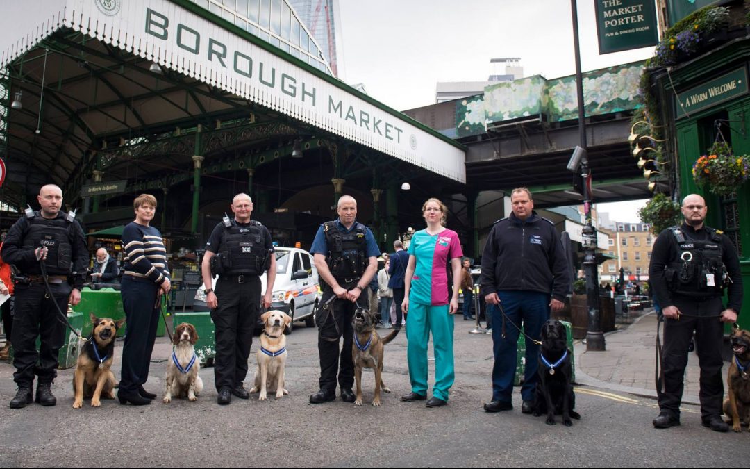 Police Dogs Honoured For Attack Heroics